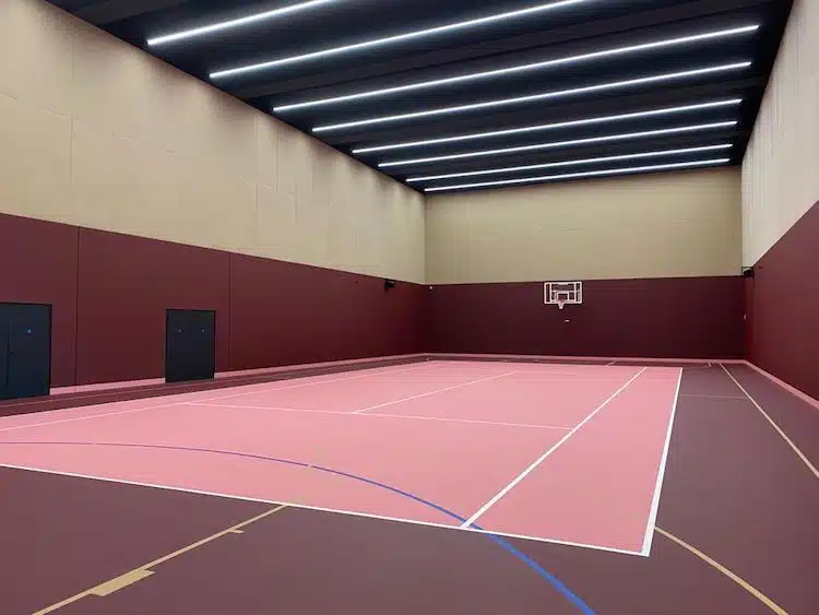 Indoor multi-sport court with a marked pink floor and a wall-mounted basketball hoop