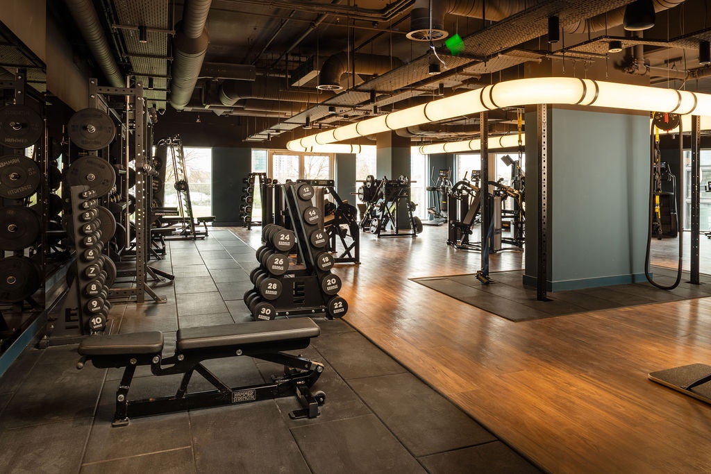 Free-weight gym with dumbbell towers, squat racks, cable machines and a curved overhead light fixture